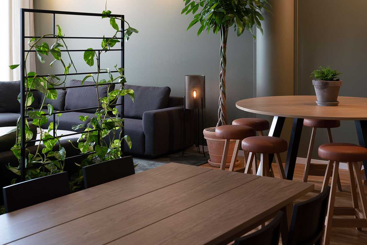 Green plants on a table