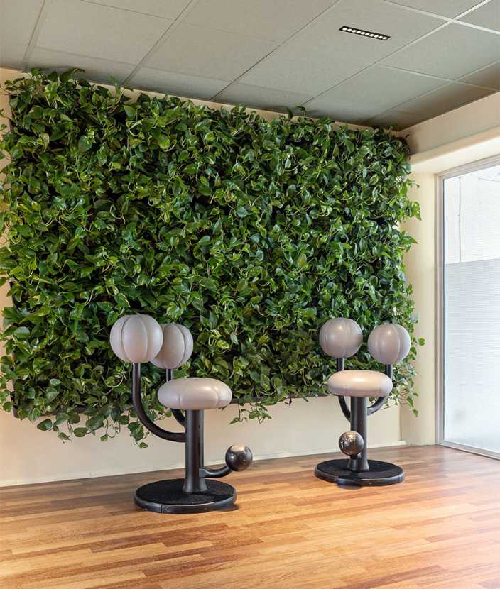 Chairs in front of a green wall