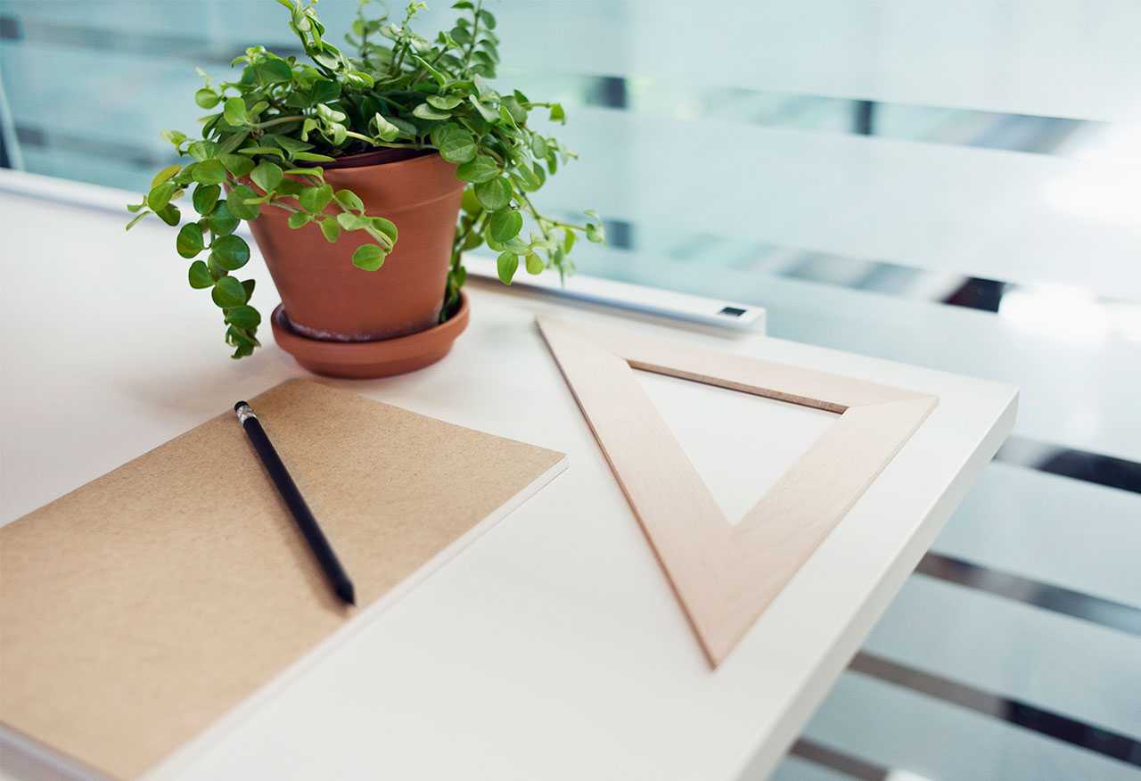 Green plant, ruler, notebook and pencil on Martela's desk