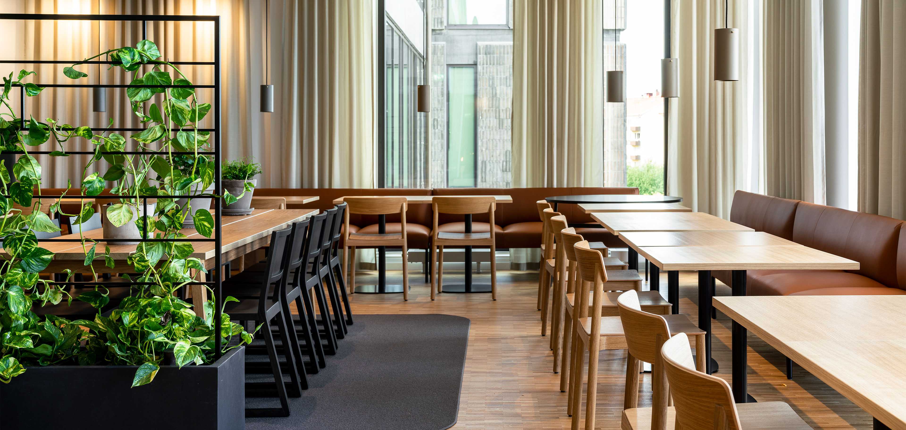 Green plants in cafeteria