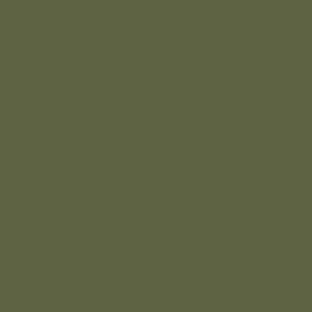 P18_green_plastic_fullHD.jpeg P18_green_plastic_fullHD.jpeg