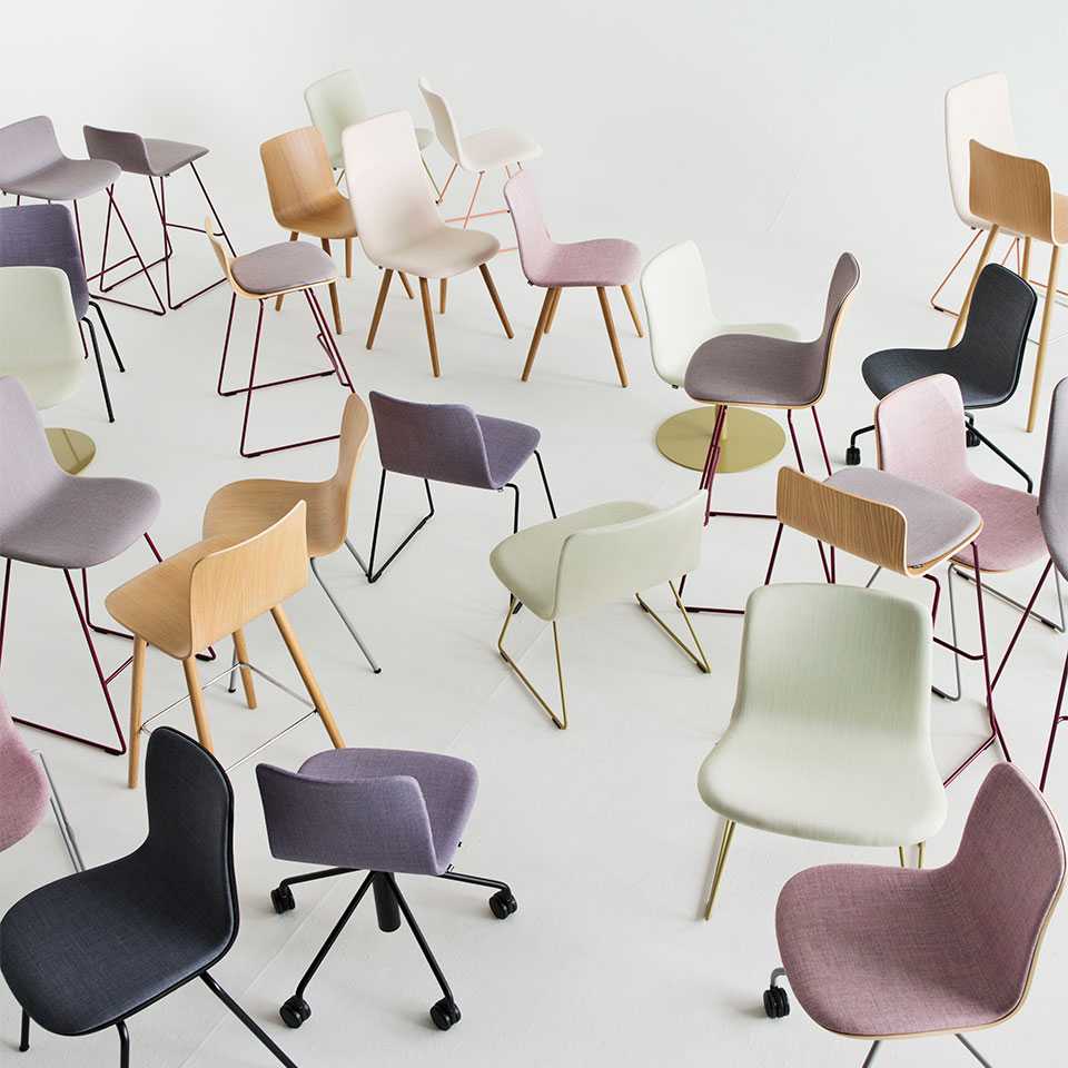 Sola chairs in a cluster